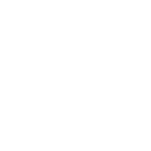 haszon logo