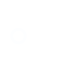 portfolio logo